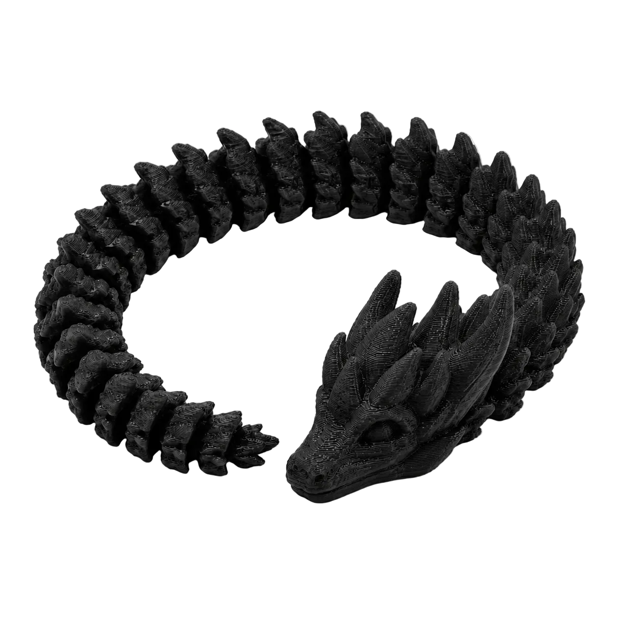 The Dragon in Black — full coil view