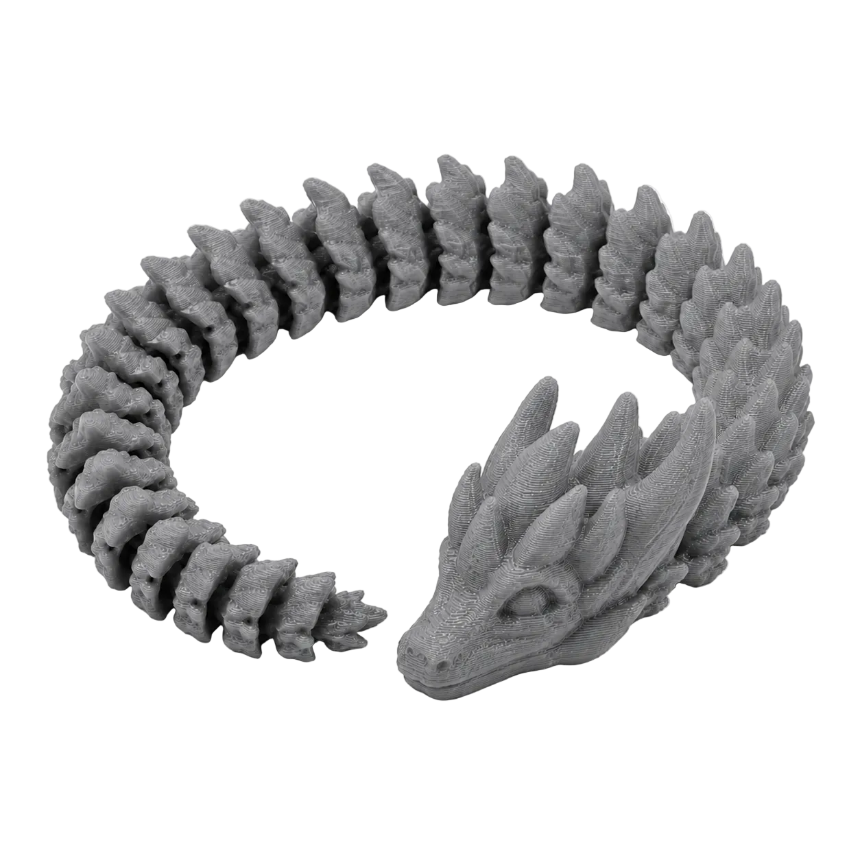 The Dragon in Gray — full coil view