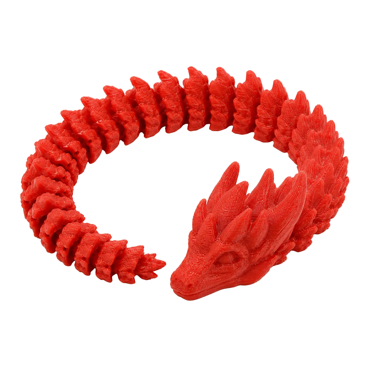The Dragon — side view, coiled