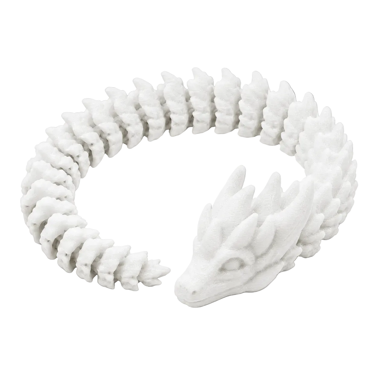 The Dragon in White — full coil view